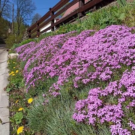 Dom Pod Ptasznicą *