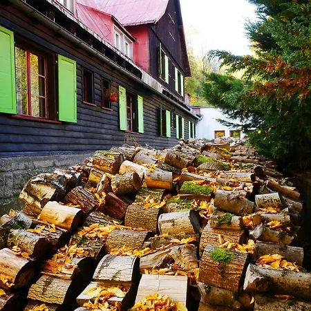 Dom Pod Ptasznicą *