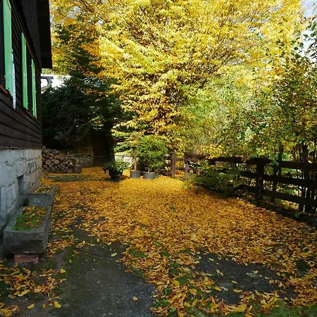 Dom Pod Ptasznicą Kudowa-Zdrój