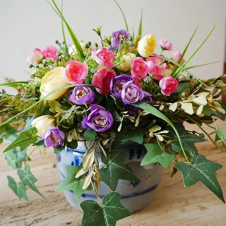 Dom Pod Ptasznicą * Kudowa-Zdrój