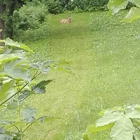 Dom Pod Ptasznicą Gospodarstwo agroturystyczne