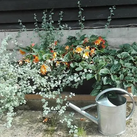 Dom Pod Ptasznicą Gospodarstwo agroturystyczne