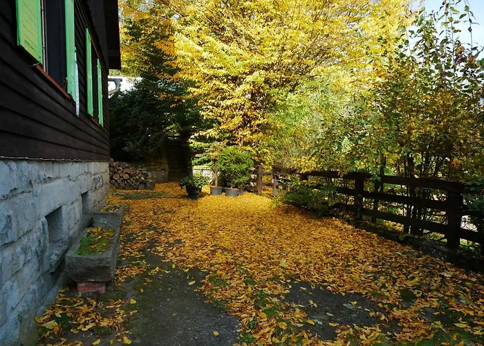 Dom Pod Ptasznica كودوفا- زدروي