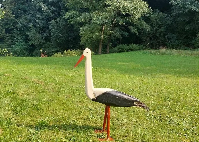 مزرعة للإقامة Dom Pod Ptasznica كودوفا- زدروي