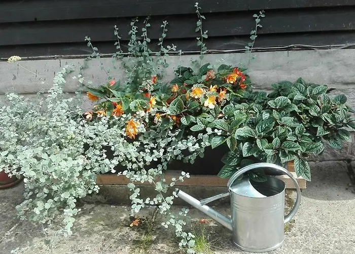 Dom Pod Ptasznica مزرعة للإقامة